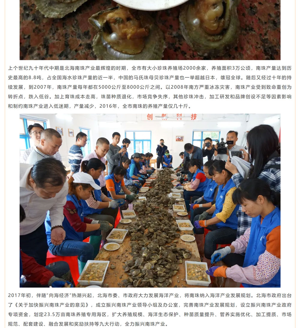 古老南珠，綻放異彩